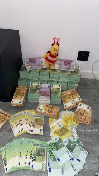 Olanda, plata zilnica garantata,