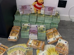 Olanda, plata zilnica garantata